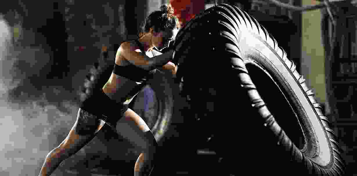 Duis fermentum felis